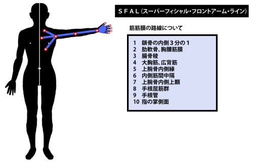 東御市,上田市,小諸市,整体,指圧,ほぐしや,マッサージ,アナトミー・トレイン